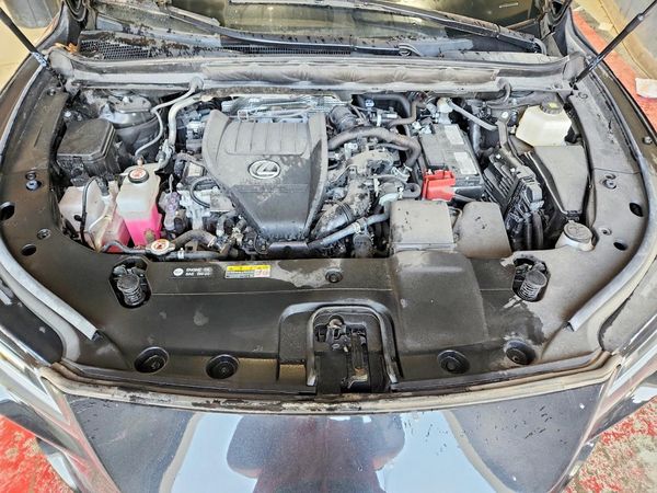 2024 LEXUS RX 350 BAS — Engine bay