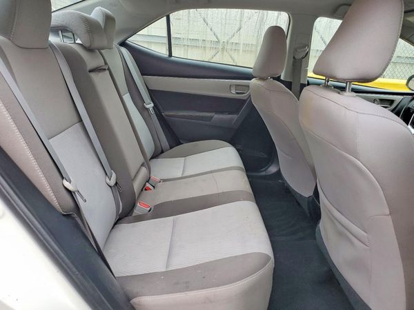 2019 TOYOTA COROLLA