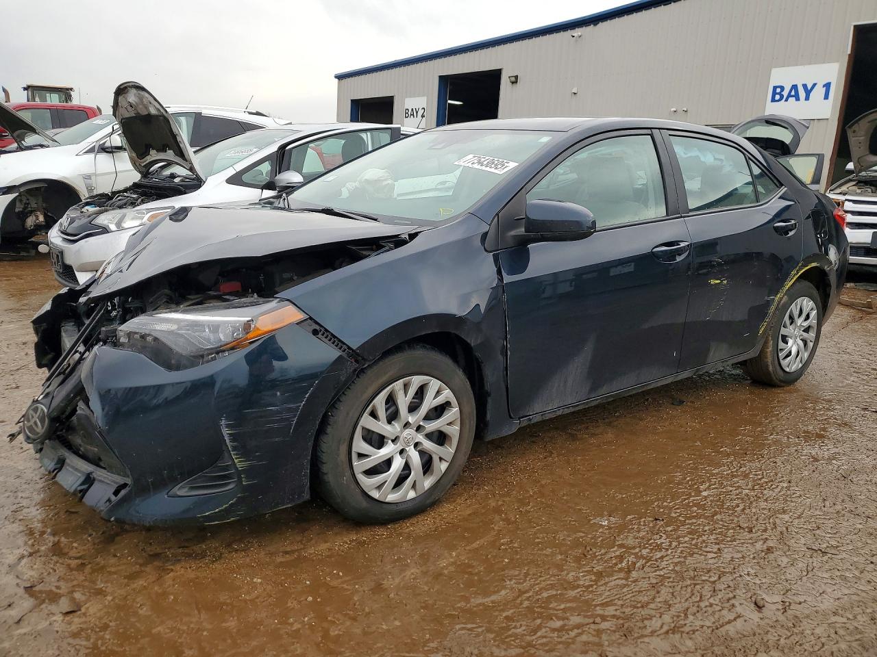 2019 TOYOTA COROLLA L/LE/SE/XLE/XSE