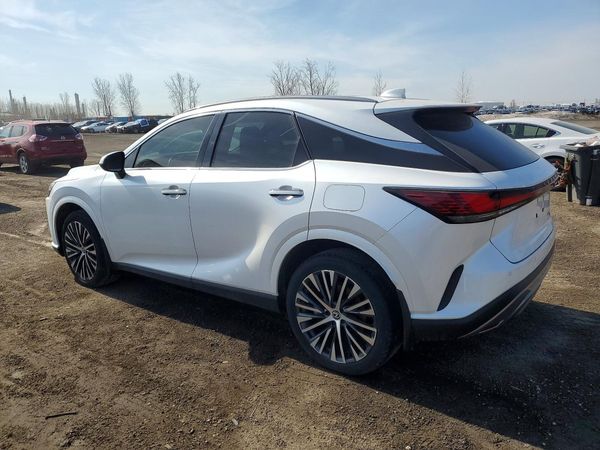 2024 LEXUS RX