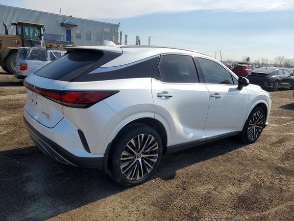 2024 LEXUS RX