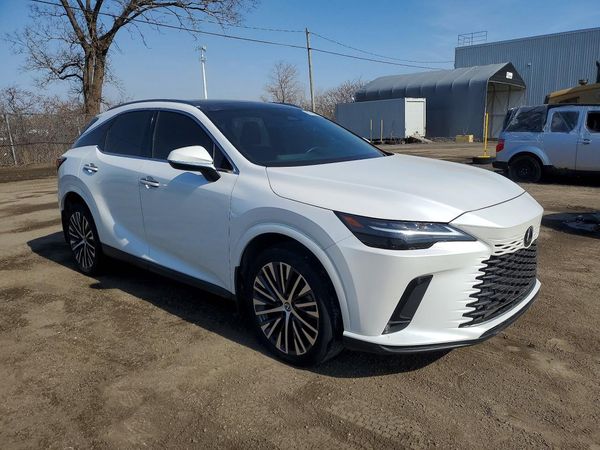2024 LEXUS RX