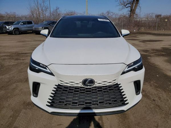 2024 LEXUS RX