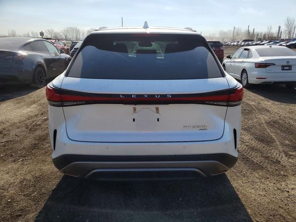 2024 LEXUS RX