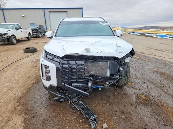 2025 HYUNDAI PALISADE