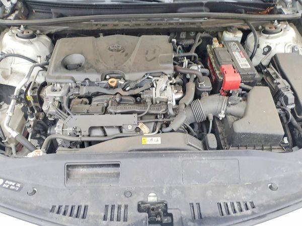 2019 TOYOTA CAMRY L/LE/SE/XLE