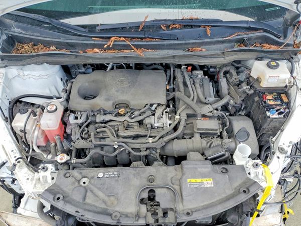 2021 TOYOTA SIENNA LE