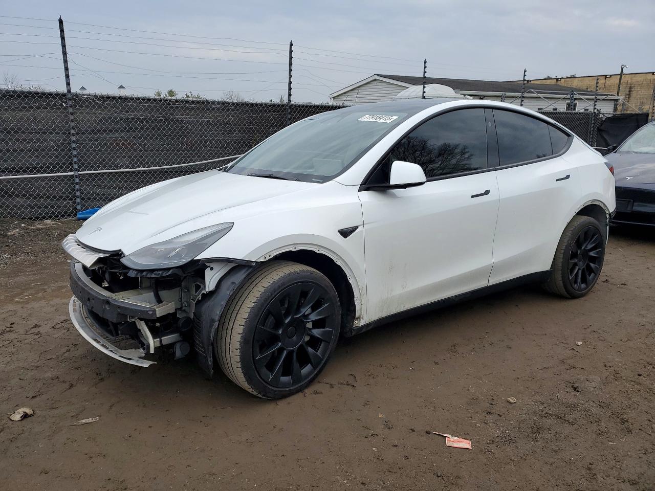 2024 TESLA MODEL Y