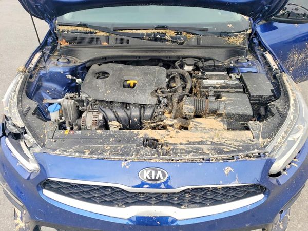 2019 KIA FORTE FE/LX/LXS