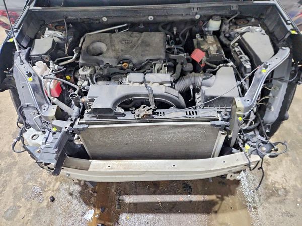 2019 TOYOTA RAV4 XLE / XLE Premium 4WD