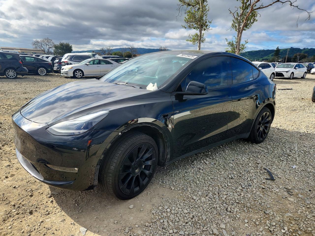 2021 TESLA MODEL Y