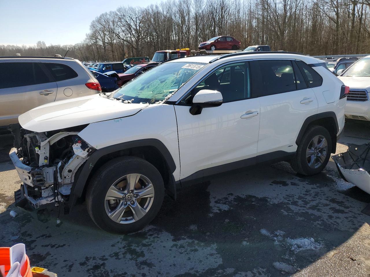 2024 TOYOTA RAV4 XLE