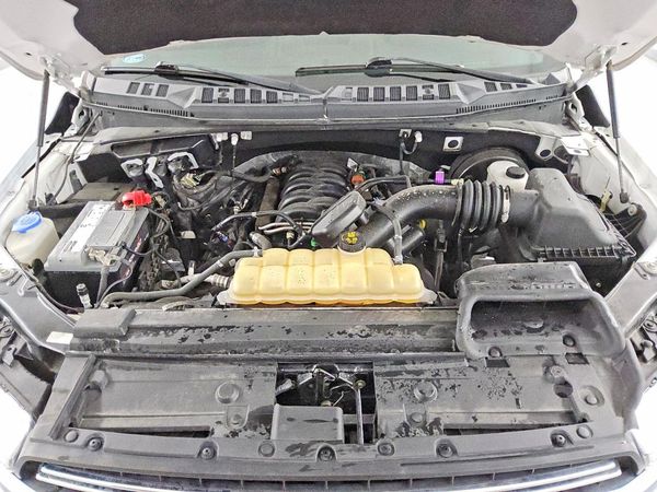 2019 FORD F150
