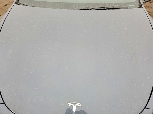 2020 TESLA MODEL Y