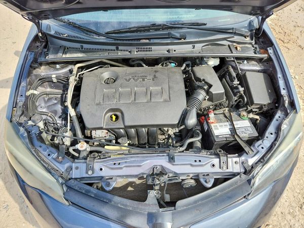 2019 TOYOTA COROLLA L/LE/SE/XLE/XSE