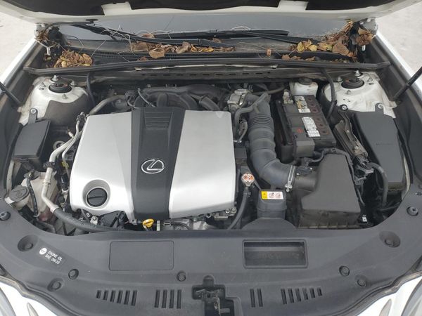 2019 LEXUS ES 350