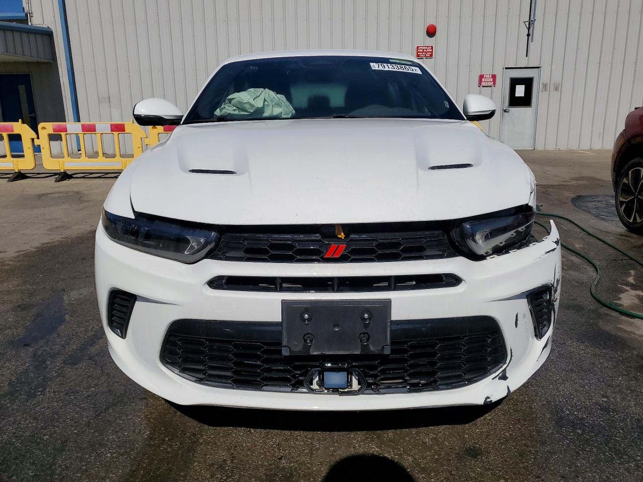 2024 DODGE HORNET R/T