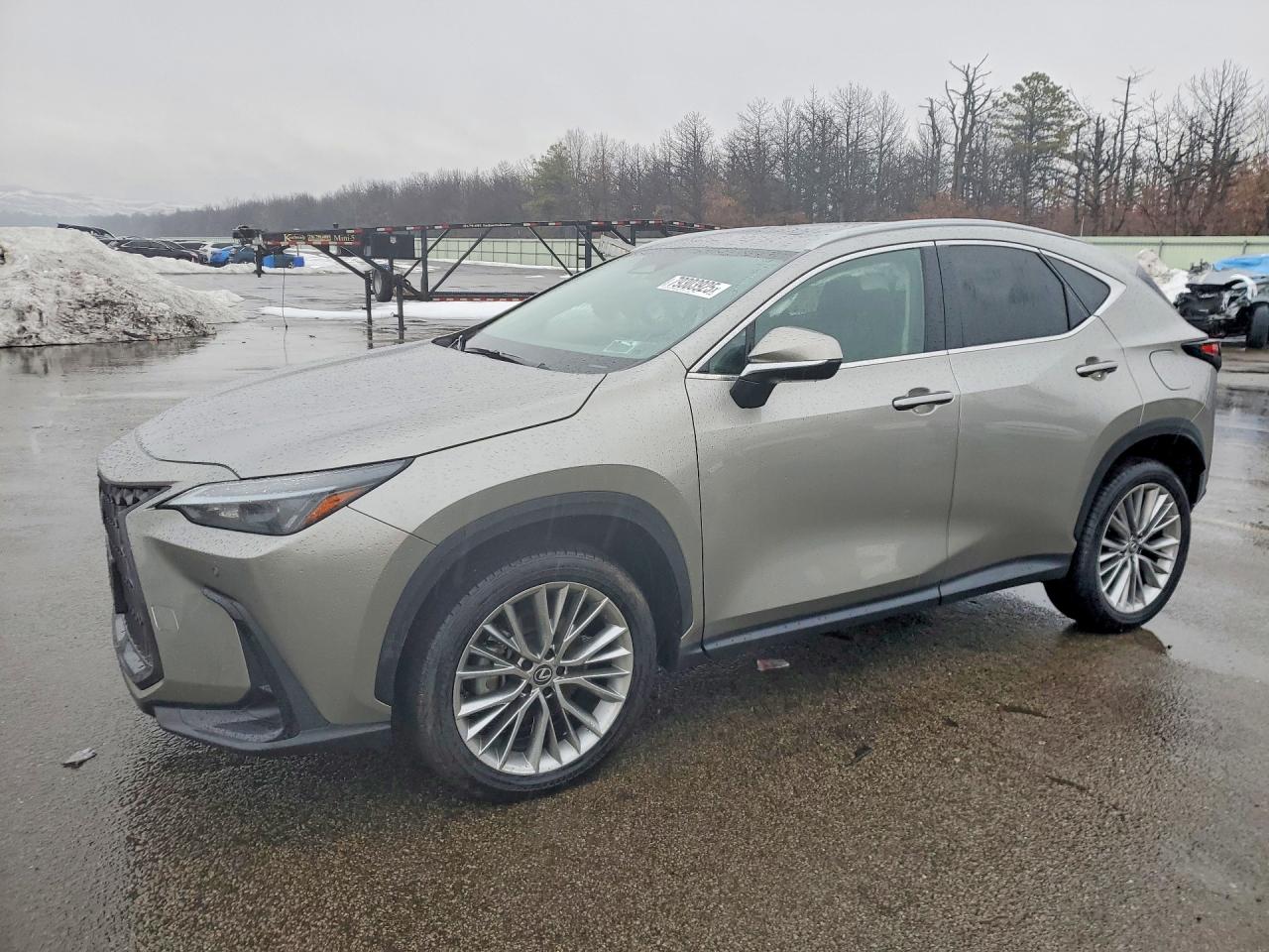 2025 LEXUS NX 350 350 Premium