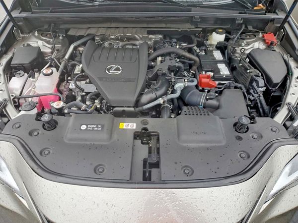 2025 LEXUS NX 350 350 Premium