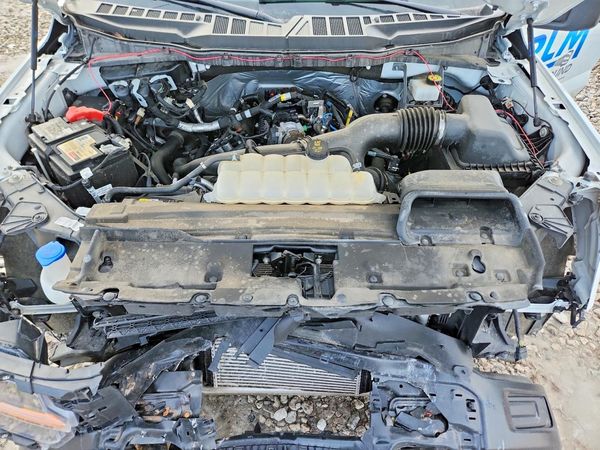 2024 FORD F150