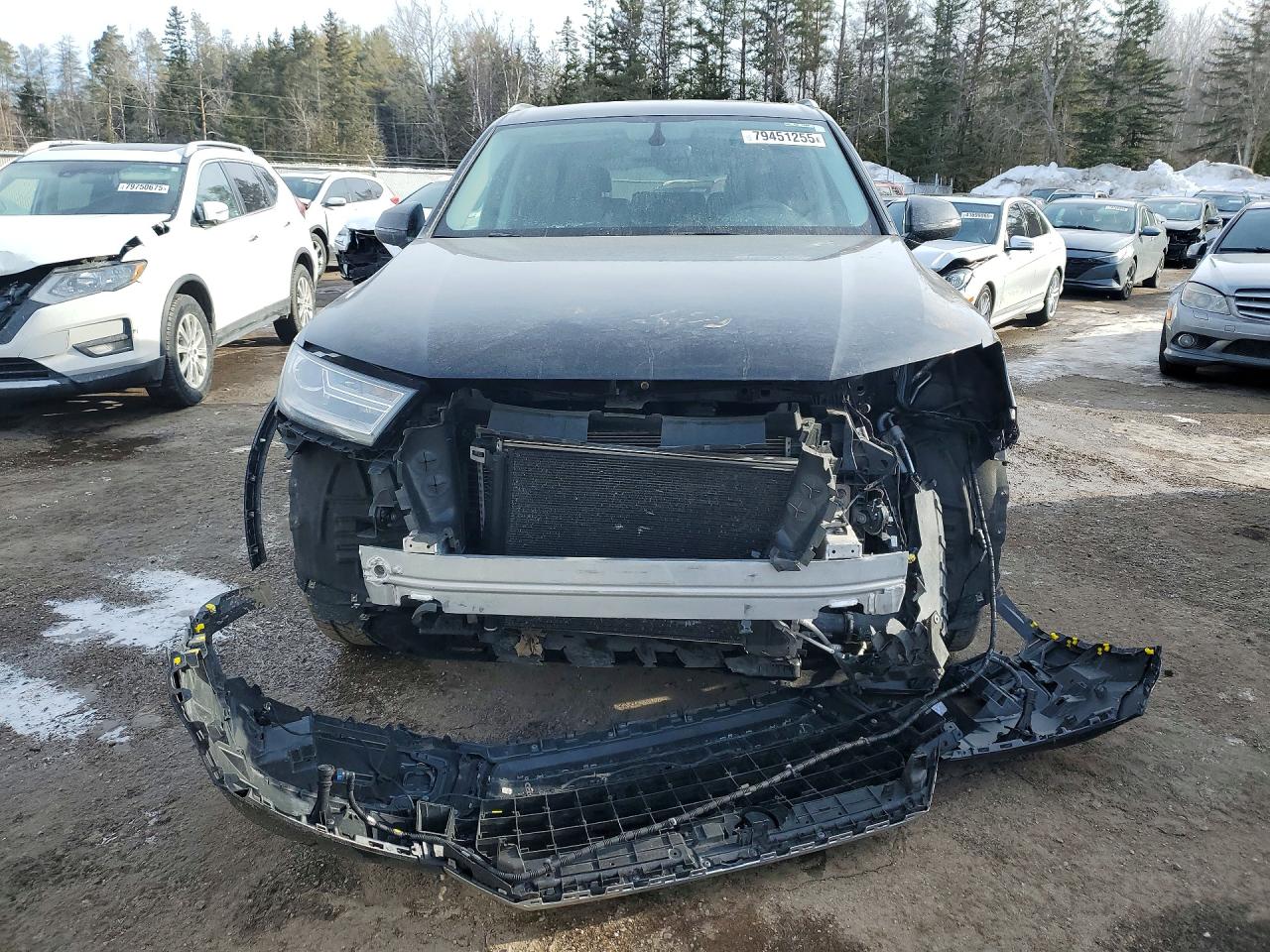 2019 AUDI Q7