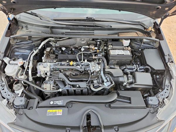 2023 TOYOTA COROLLA
