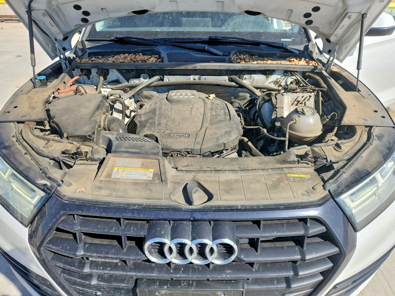 2019 AUDI Q5 quattro Premium Plus