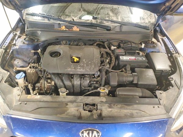 2019 KIA FORTE FE/LX/LXS
