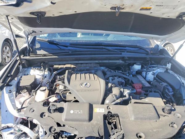 2022 LEXUS NX 350 350 Base