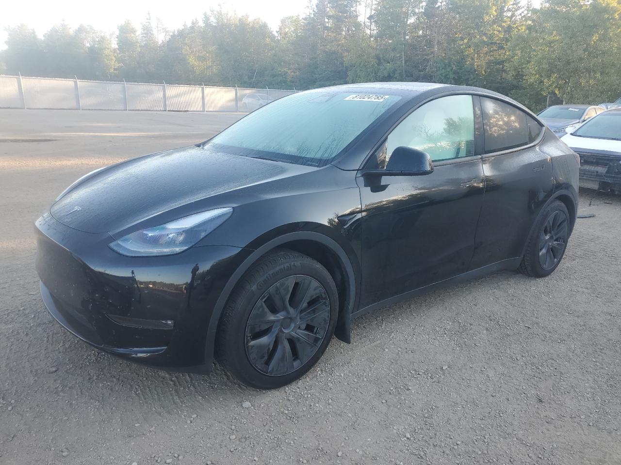 2024 TESLA MODEL Y