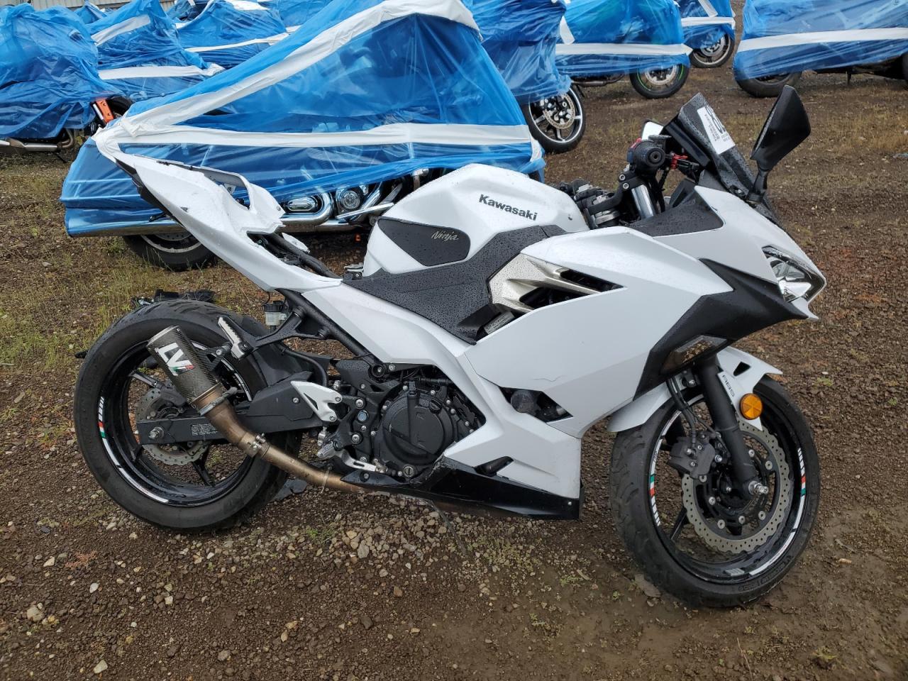 2020 KAWASAKI EX400