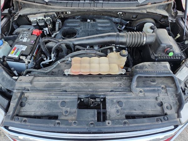 2019 FORD F150