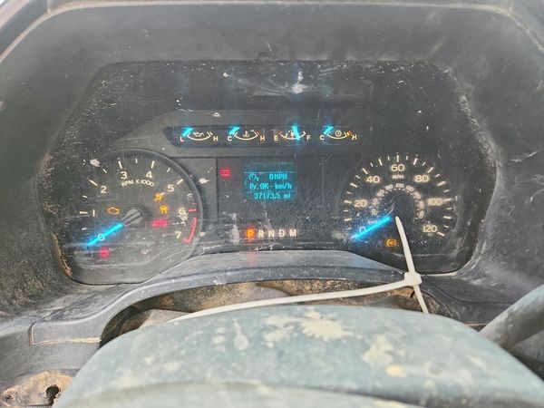 2019 FORD F150 — ODOM