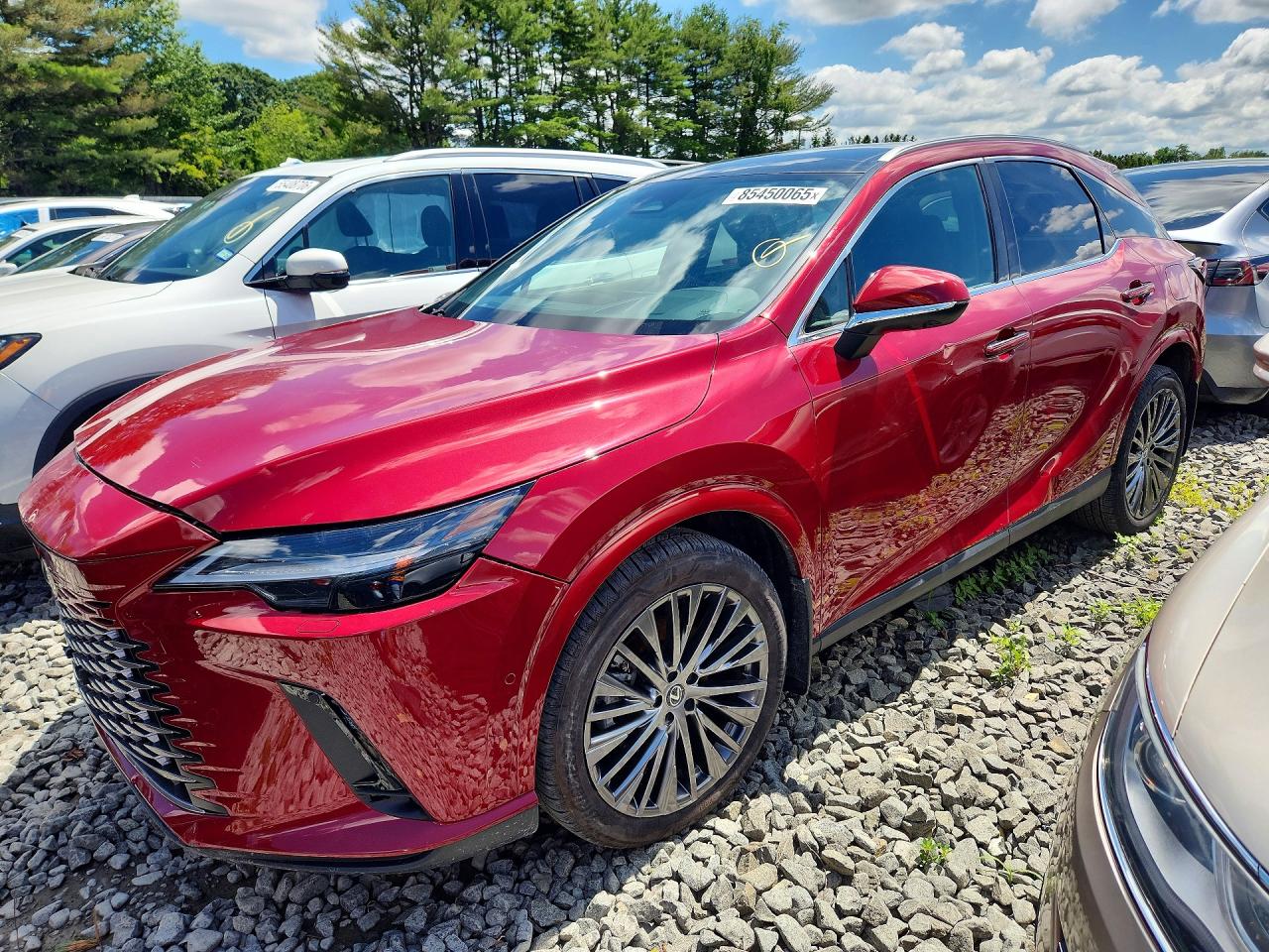 2024 LEXUS RX 350