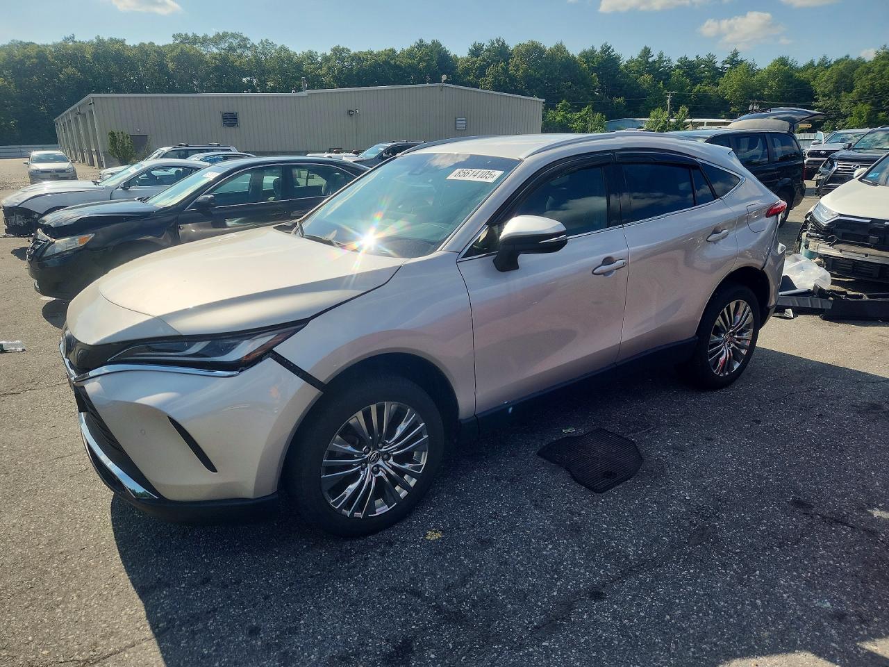 2024 TOYOTA VENZA
