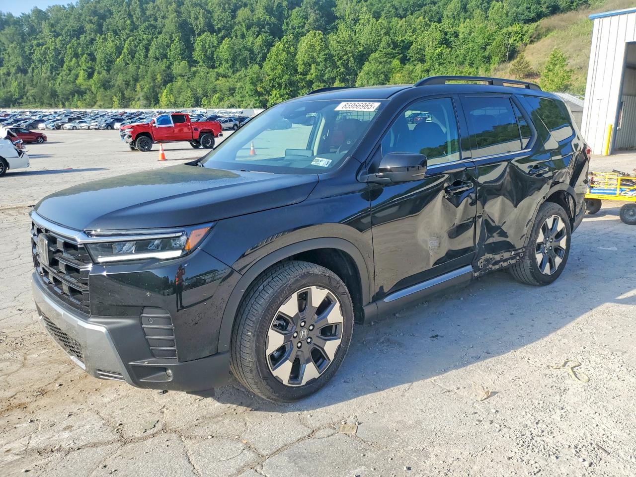 2026 HONDA PILOT Elite