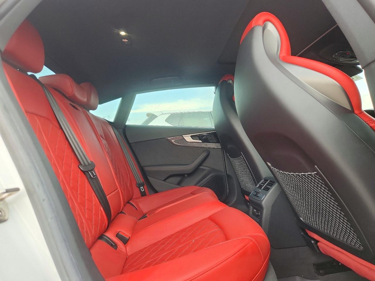 2024 AUDI S5 quattro Premium Plus