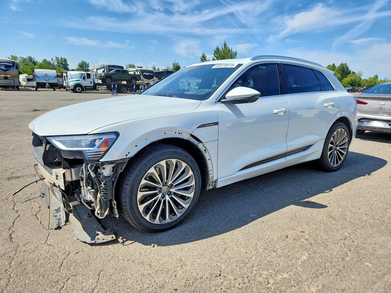 2019 AUDI E-TRON