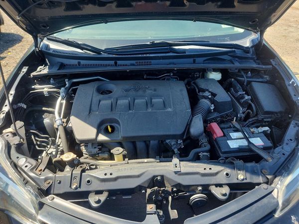 2019 TOYOTA COROLLA