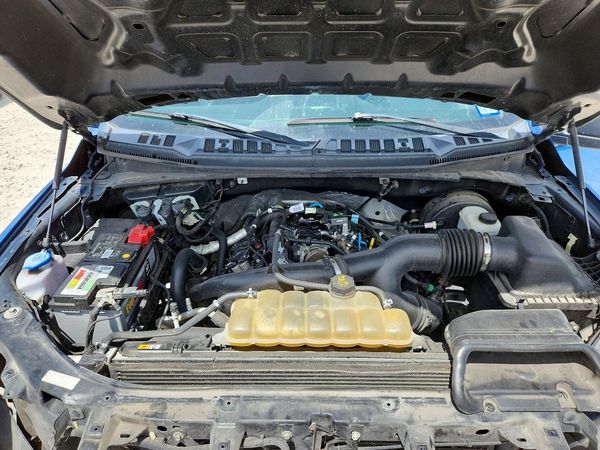 2019 FORD F150