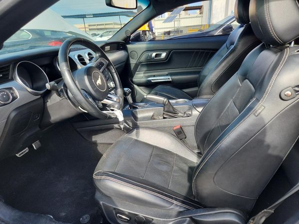 2019 FORD MUSTANG
