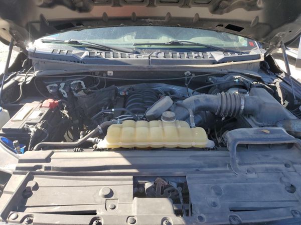 2019 FORD F150
