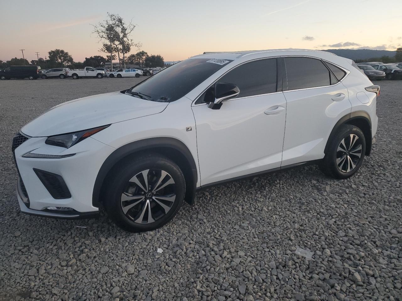 2019 LEXUS NX