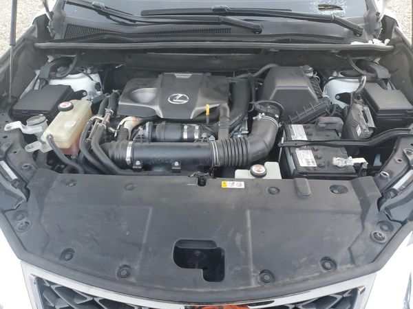 2019 LEXUS NX