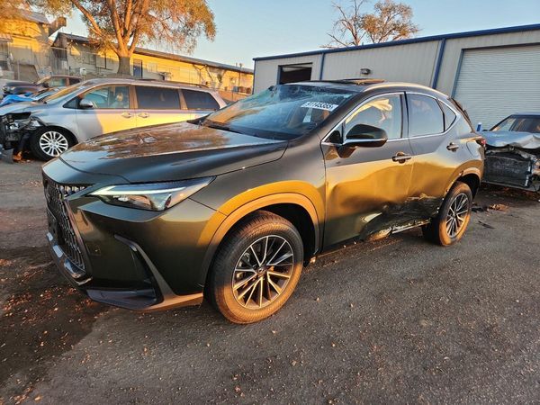 2024 LEXUS NX