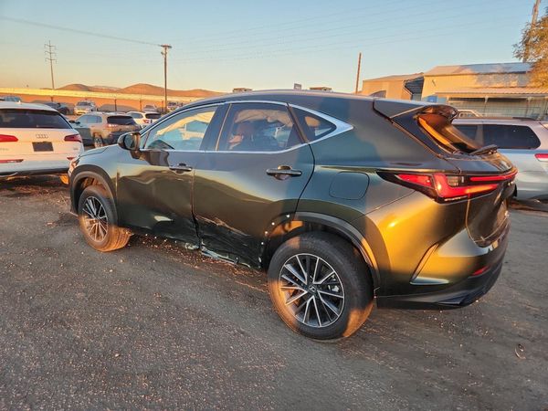 2024 LEXUS NX
