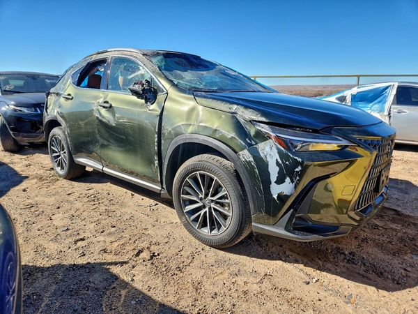 2024 LEXUS NX