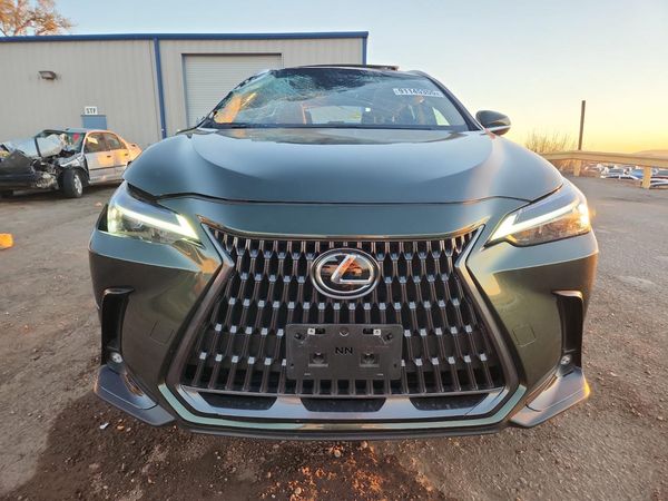 2024 LEXUS NX