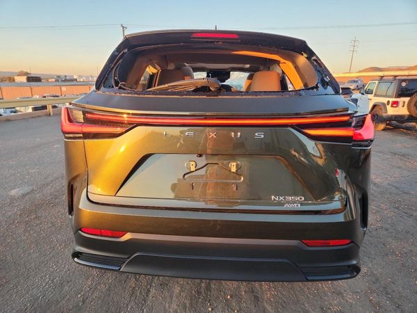 2024 LEXUS NX