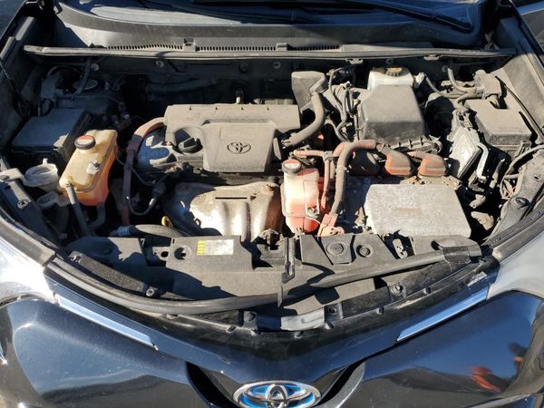 2016 TOYOTA RAV4 XLE (M Grade)